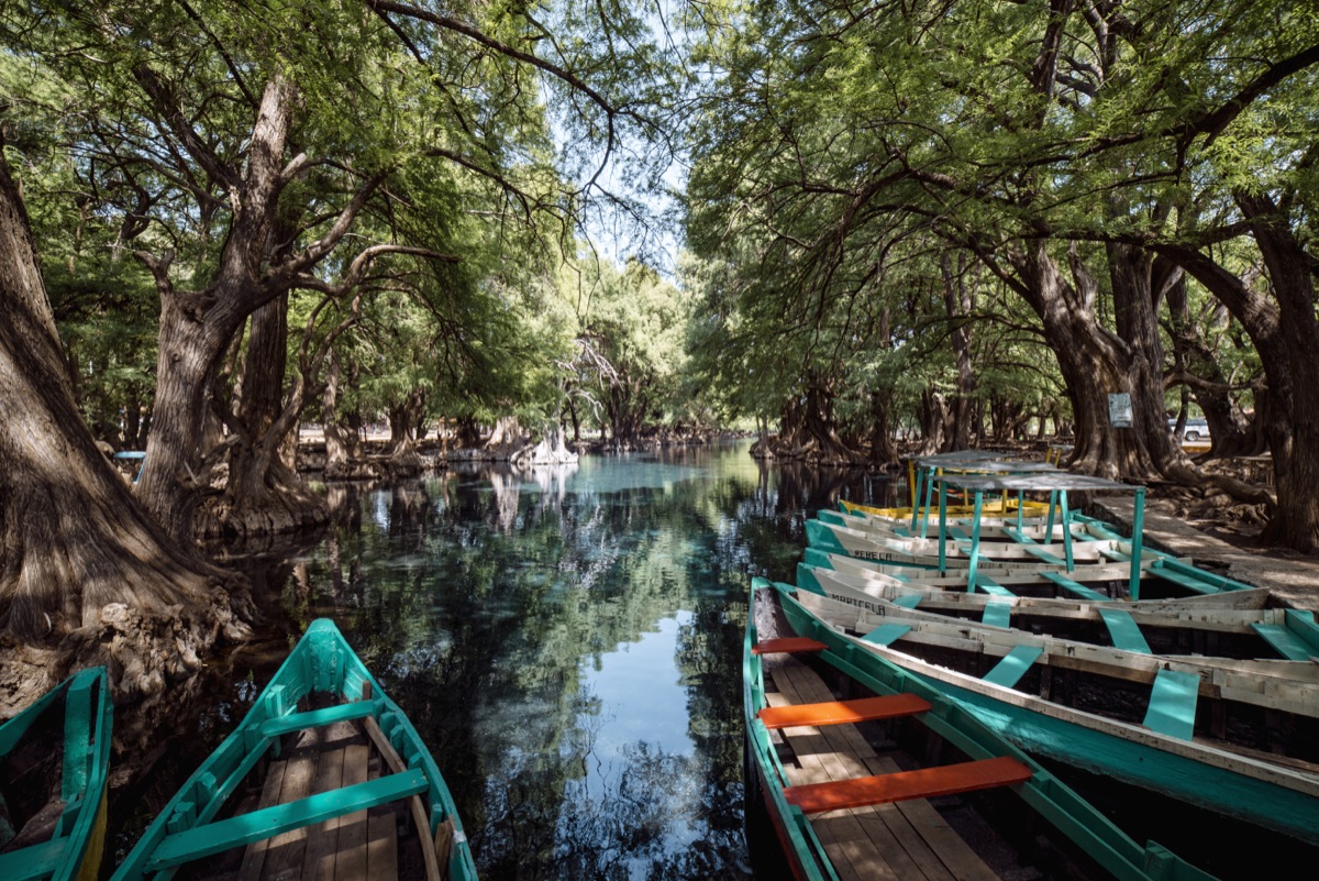 Parque Nacional Lago De Camécuaro Michoacán 9627