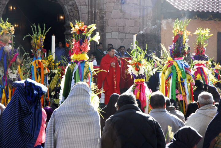 Domingo de Ramos en San Lorenzo