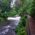 parque-nacional-urpapan