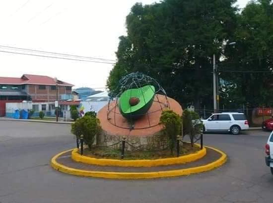aguacate-tancitaro
