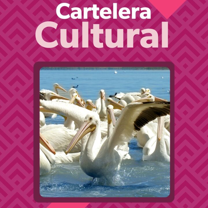 Cartelera Cultural del 20 al 26 de febrero de 2023