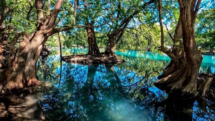 Lago de Camécuaro, joya natural de Michoacán